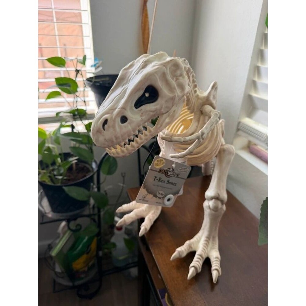 Halloween Decoration